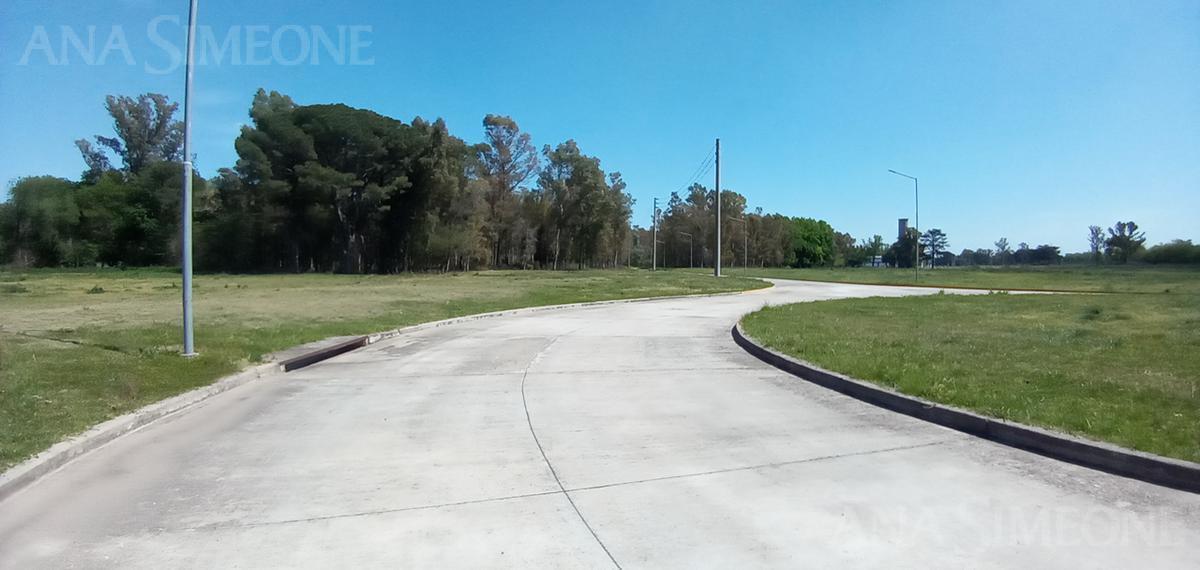 Terreno - Venta - Moreno 5