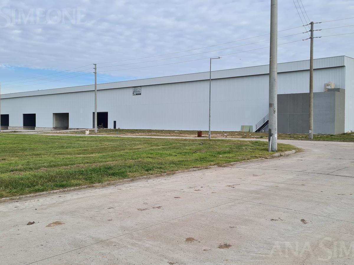 Moreno - La Reja - Venta y Alquiler - Nave Industrial - Depósito - Galpón 5