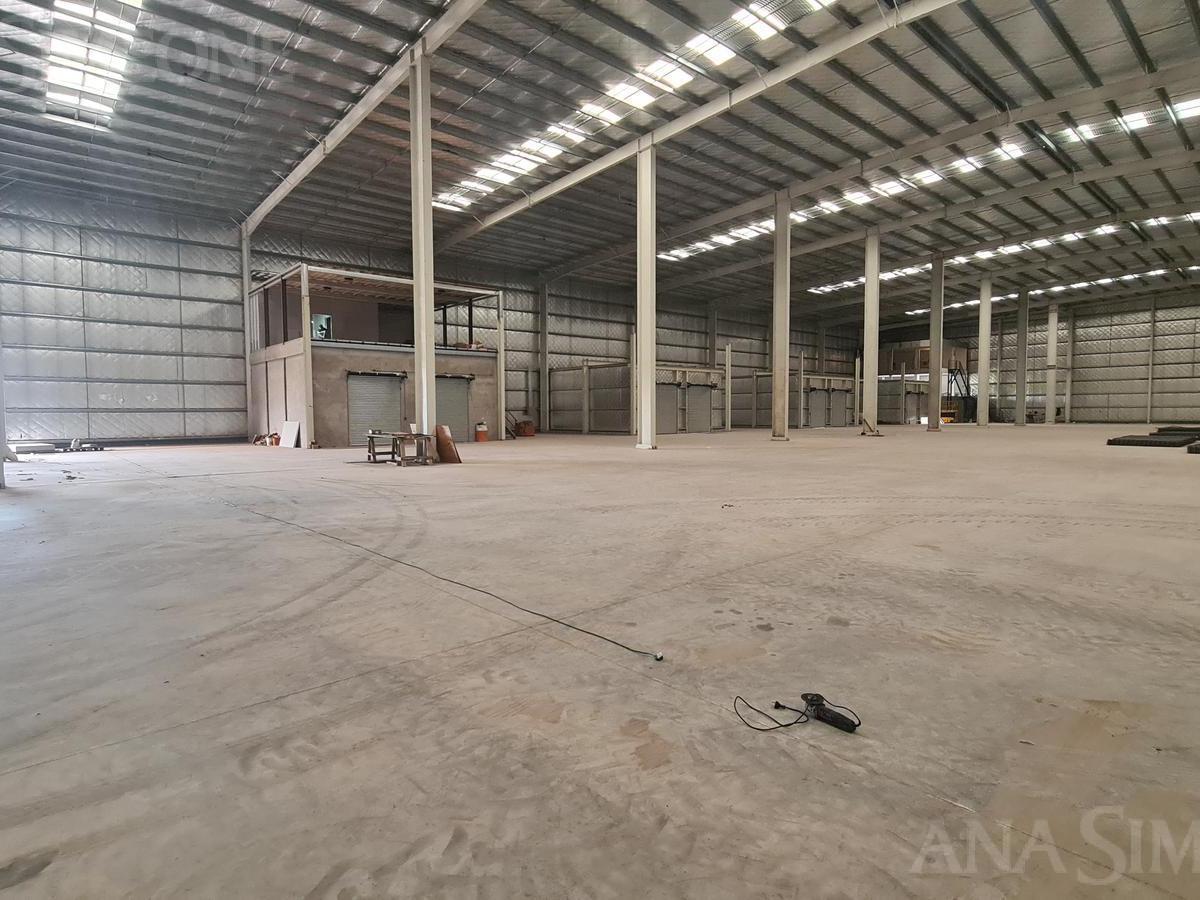Moreno - La Reja - Venta y Alquiler - Nave Industrial - Depósito - Galpón 5