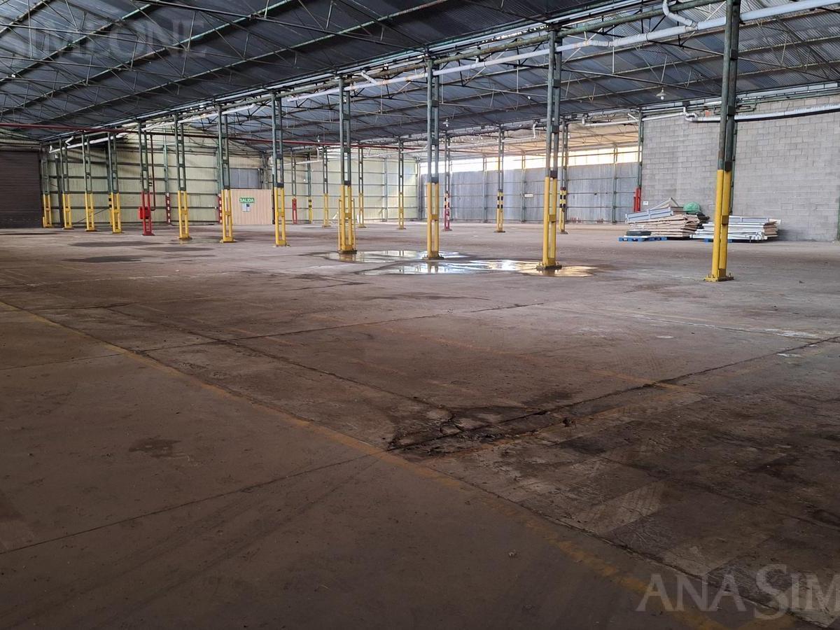Nave Industrial - Venta y Alquiler - Tigre 4