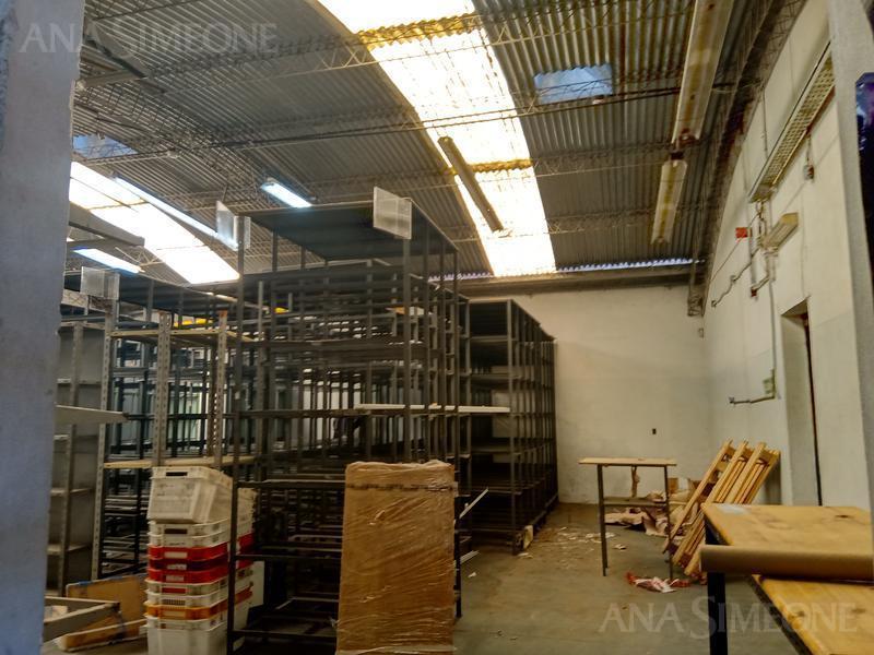 Nave Industrial - Haedo - Venta con Renta 3