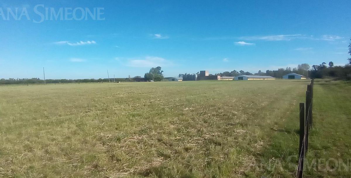 Terreno - Venta - Moreno Cuartel V