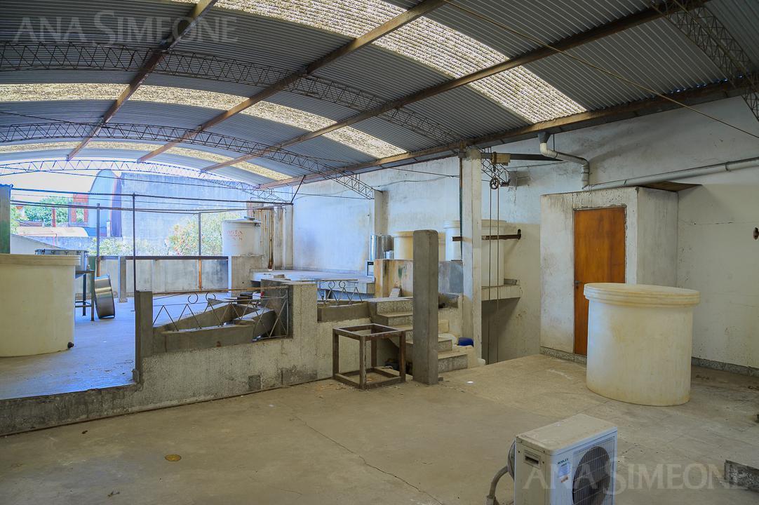 Nave Industrial con oficinas - Venta y Alquiler - Villa Martelli Vicente López