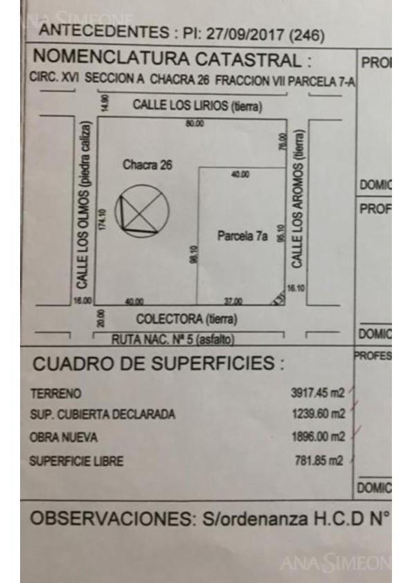 Plano 1