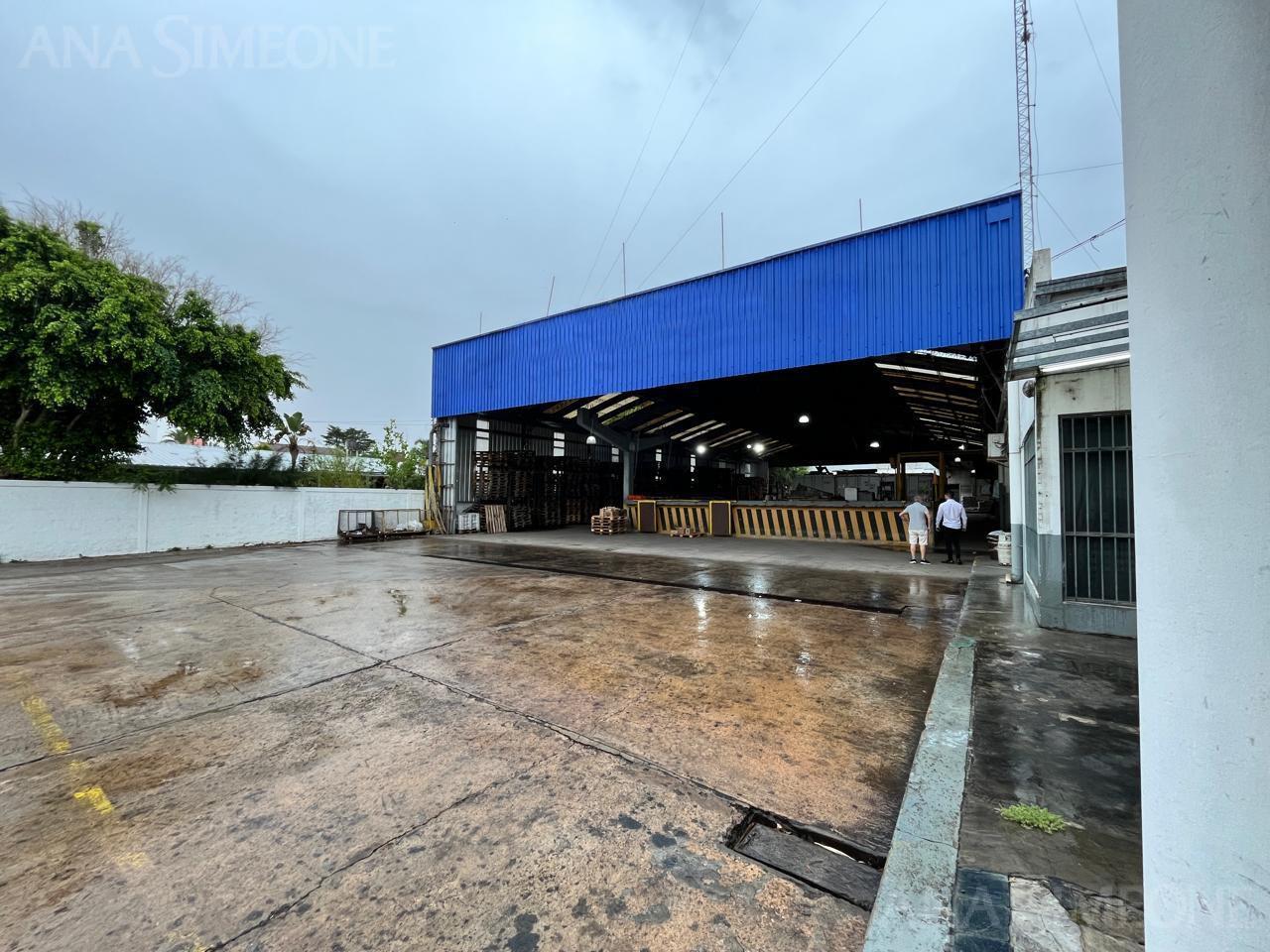Nave Industrial - Venta - Los Hornos La Plata
