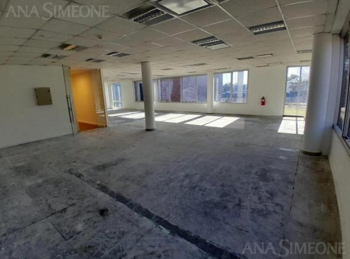 Oficinas - Alquiler - Martínez 3