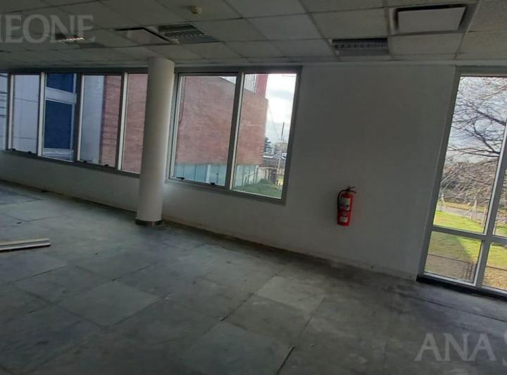 Oficinas - Alquiler - Martínez 2