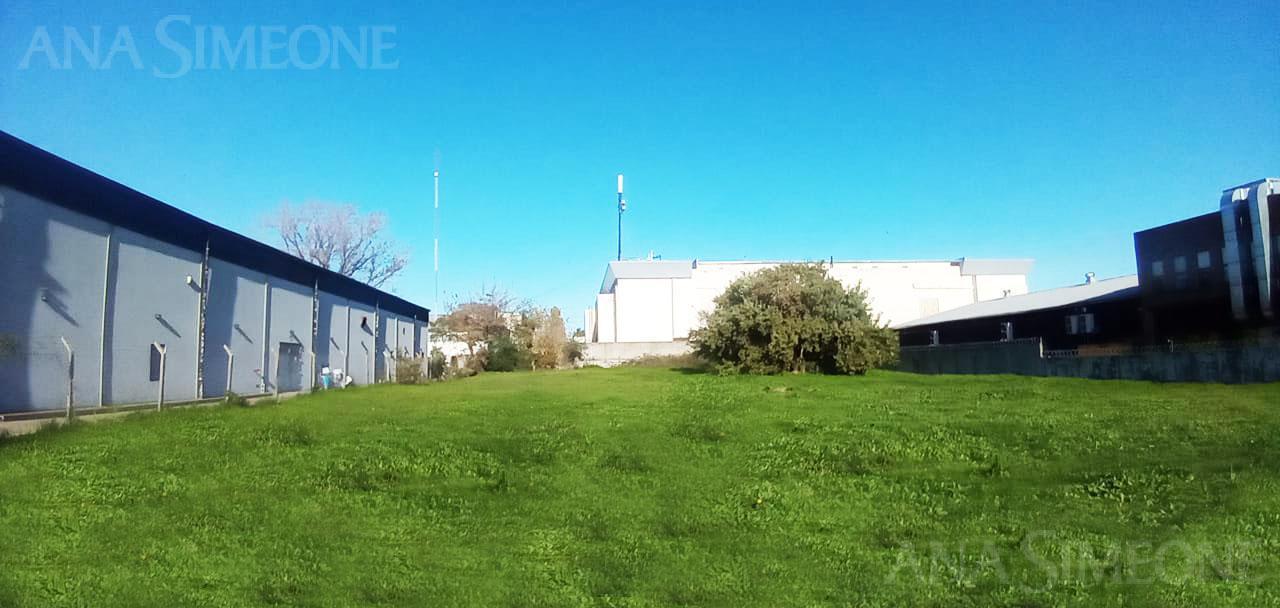 Terreno - Venta y Alquiler - San Fernando