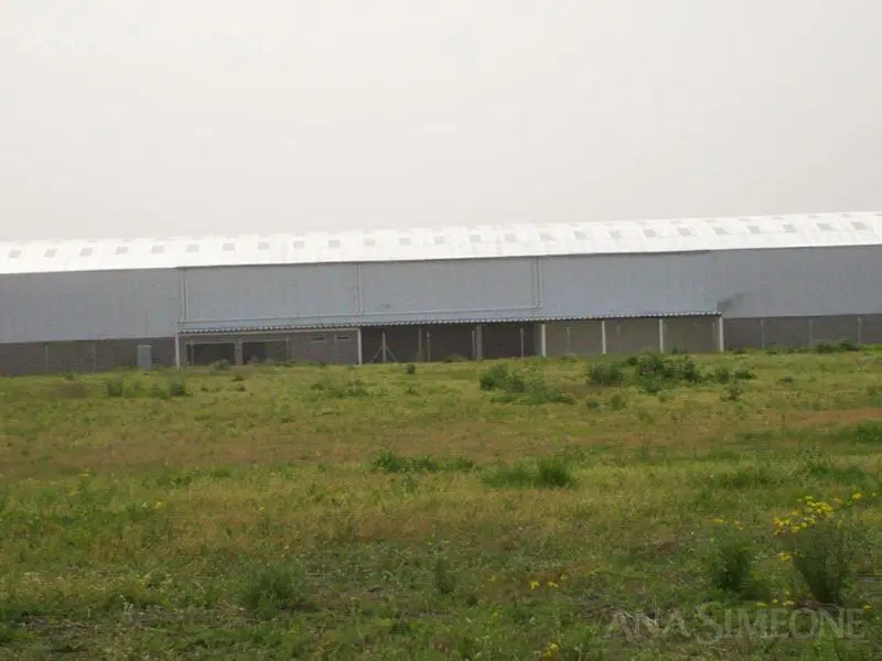 Planta Industrial A ESTRENAR 15.000m2 "llave en mano" 5