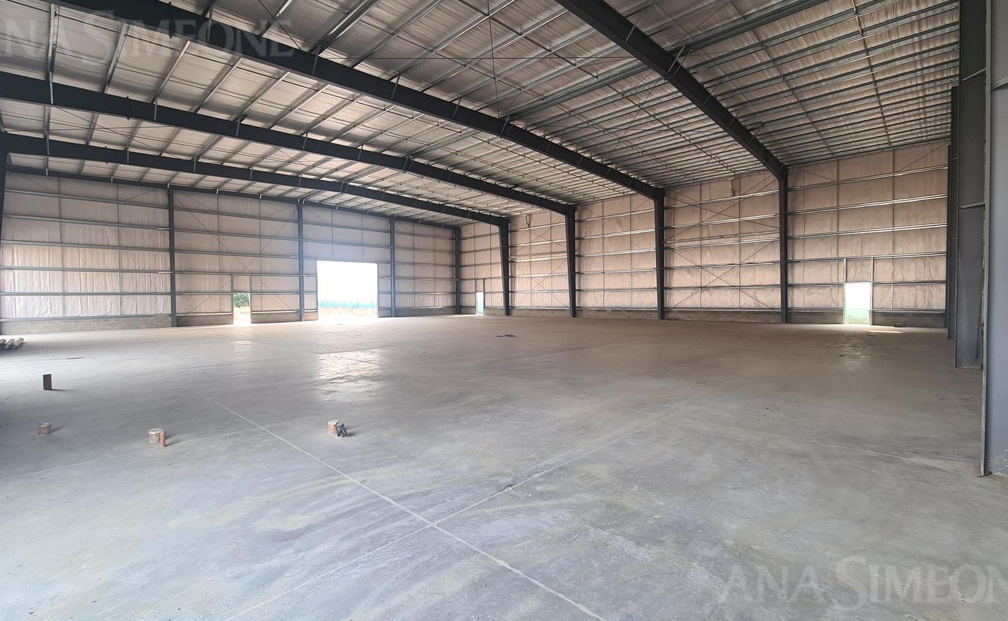 Foto de Nave Industrial - Venta - Tigre, imagen 4