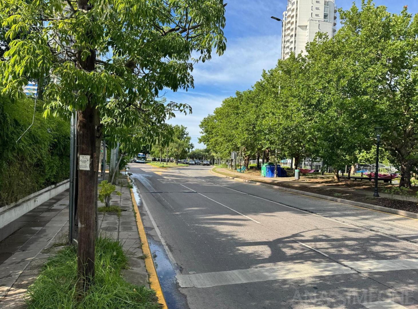 Foto de Terreno con casa - Venta - Tigre Centro, imagen 3