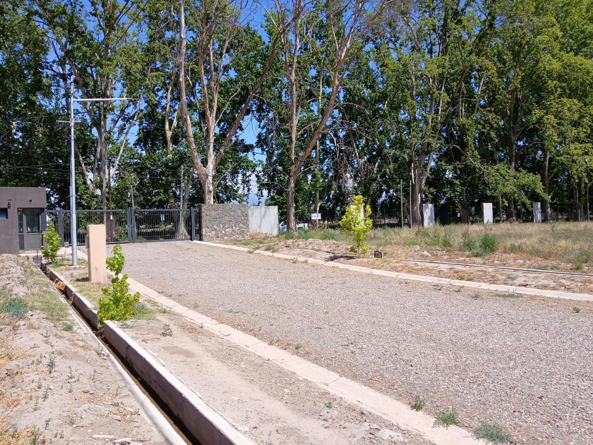 Lote Barrio Privado Perdriel, Lujan de Cuyo, Mendoza 4