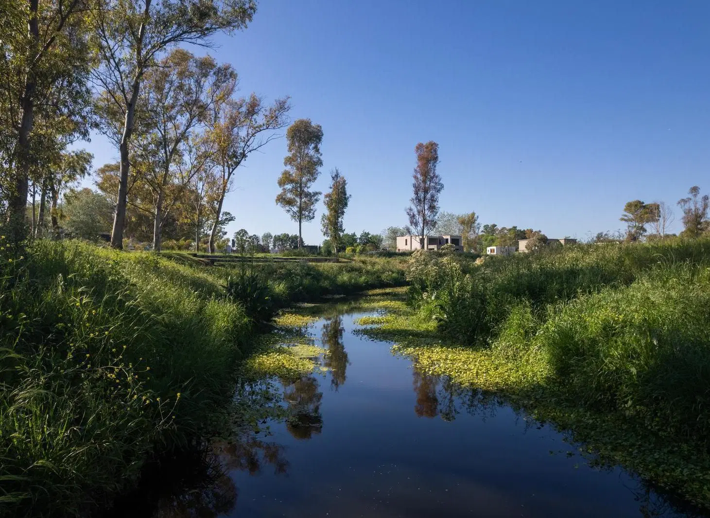 Terreno en venta en Azzurra Tortugas 5