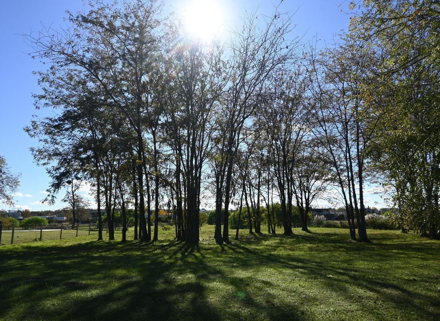 Terreno en venta en Estancias Del Pilar barrio Golf