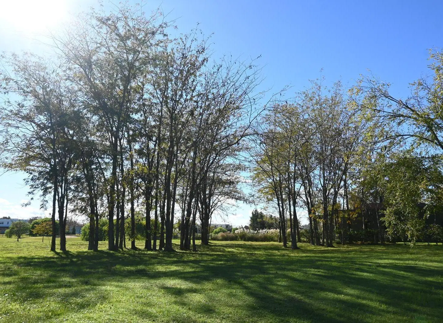Terreno en venta en Estancias Del Pilar barrio Golf 2