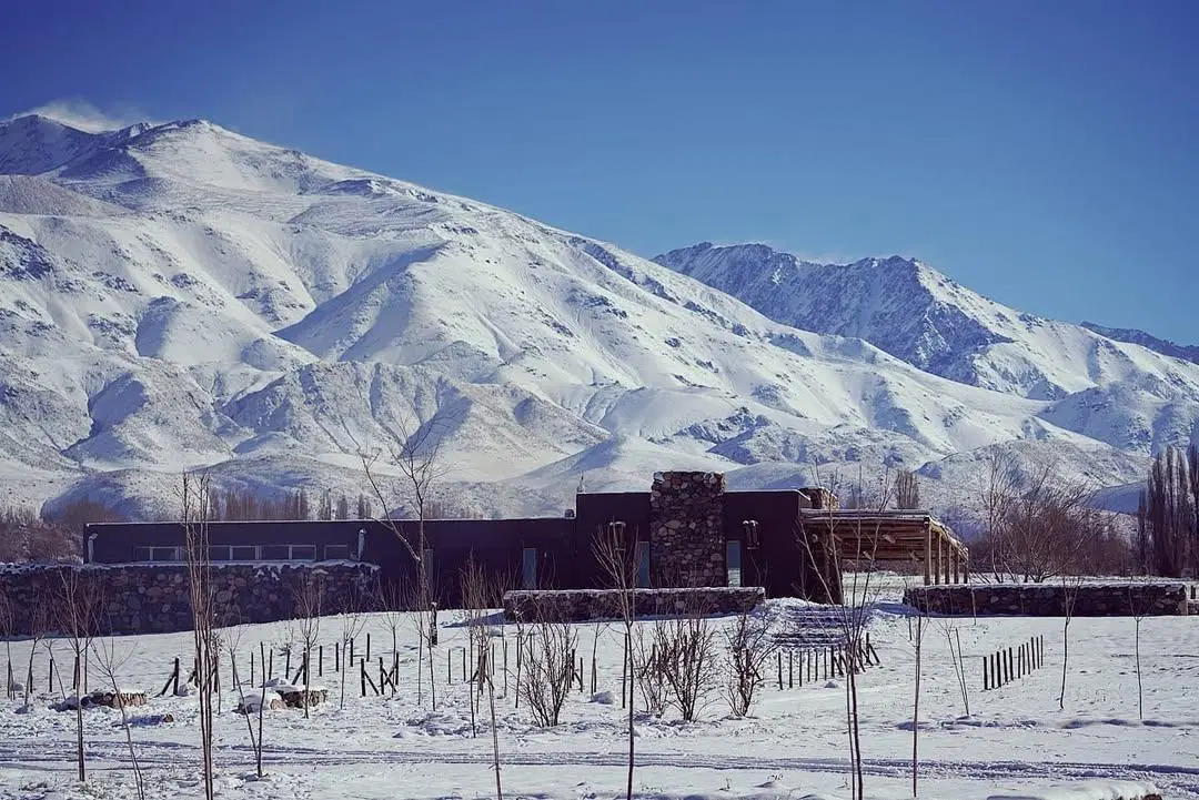 Terreno con vista a la montaña 5.000 mt2 Mendoza 4