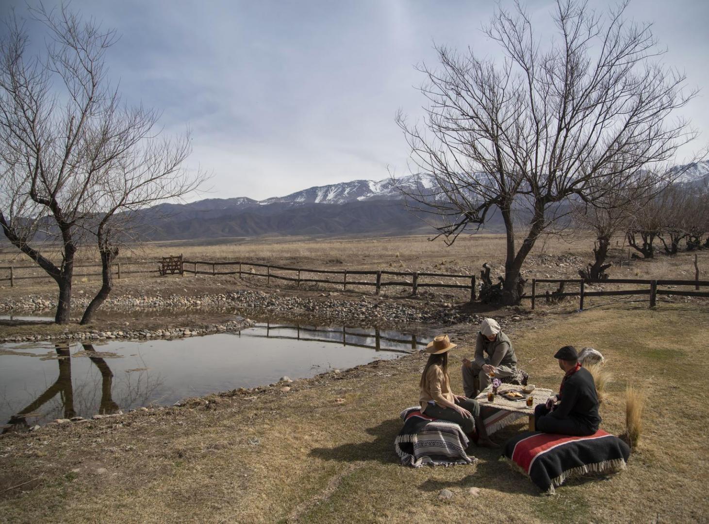 Terreno con vista a la montaña 5.000 mt2 Mendoza