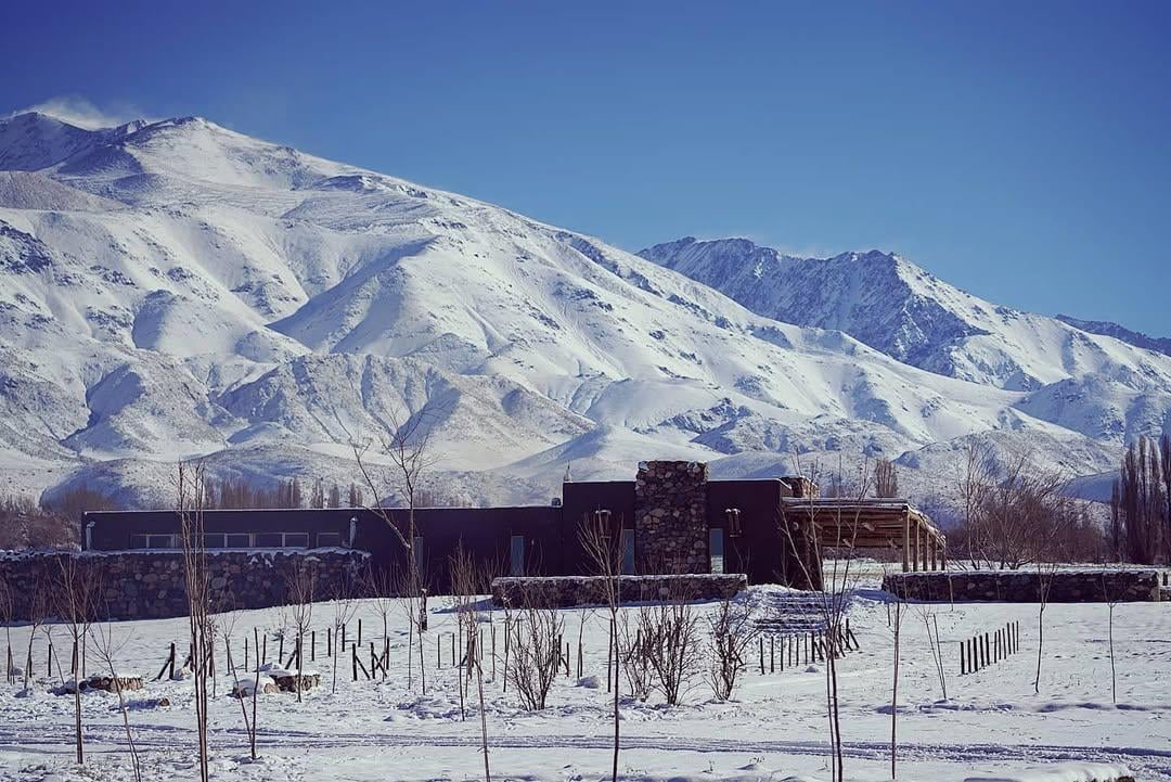Terreno con vista a la montaña 5.000 mt2 Mendoza