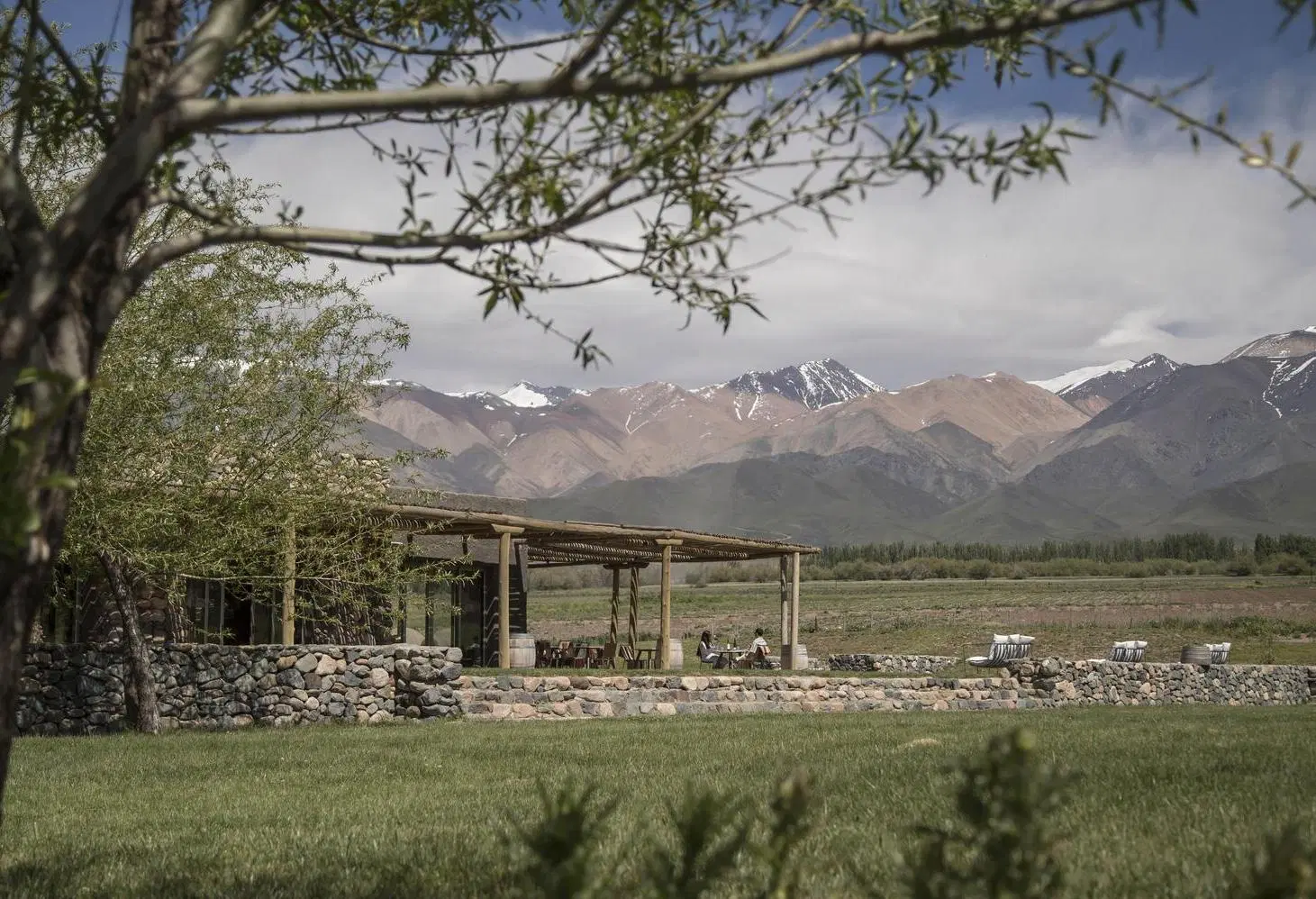 Terreno con vista a la montaña 5.000 mt2 Mendoza 3
