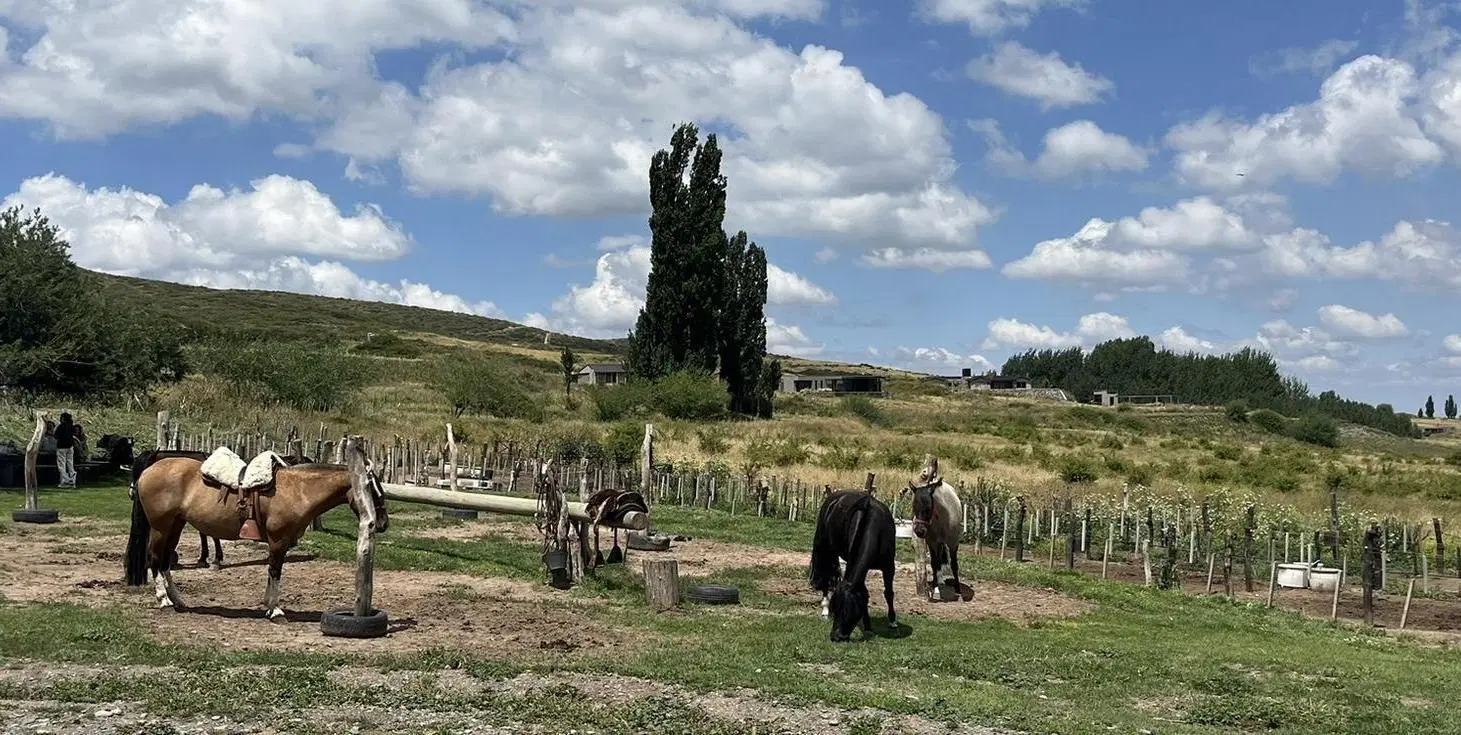 Terreno en venta en Tupungato 20.000 mts2 al pie de la Cordillera 5