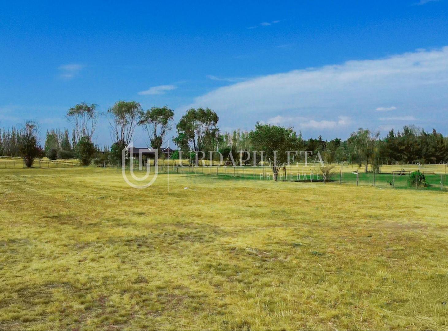 Foto de Terreno en venta en chacras Lujan, imagen 4