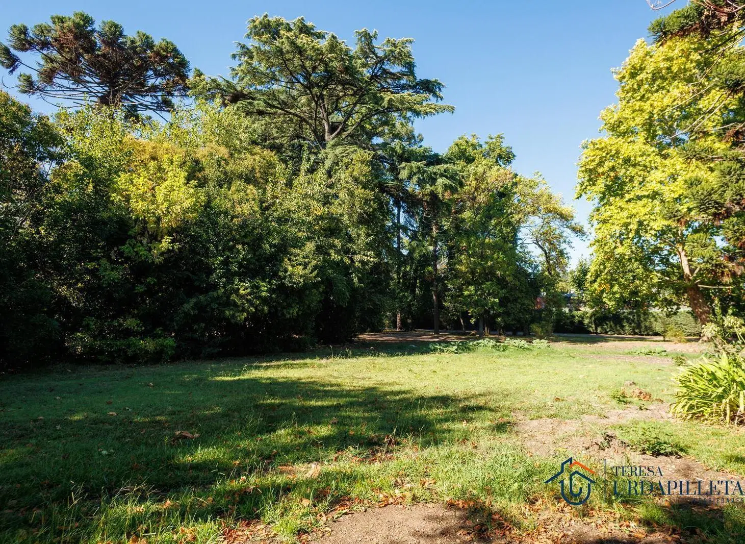 Terreno EN VENTA 5
