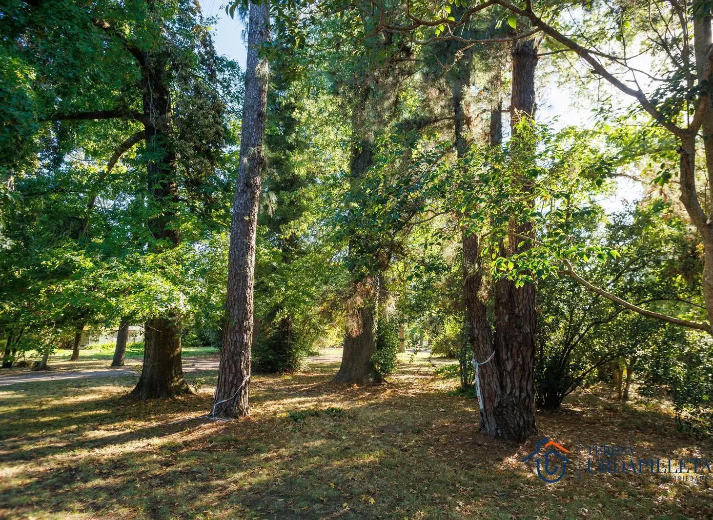 Terreno EN VENTA 8