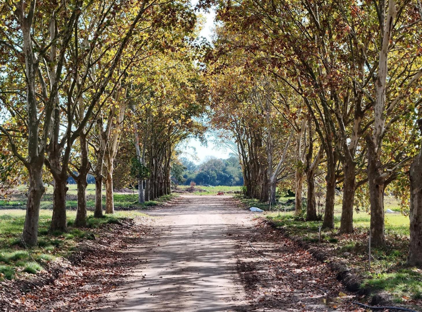 Terreno en Barrio Cerrado en Pilar para Desarrollar Townhouses
