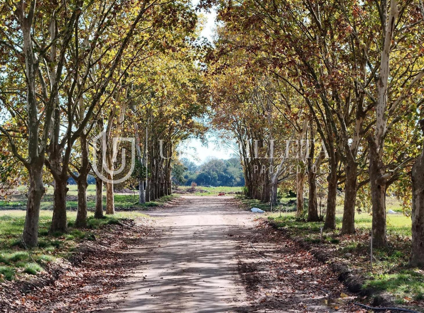 Foto de Terreno en Barrio Cerrado en Pilar para Desarrollar Townhouses, imagen 5