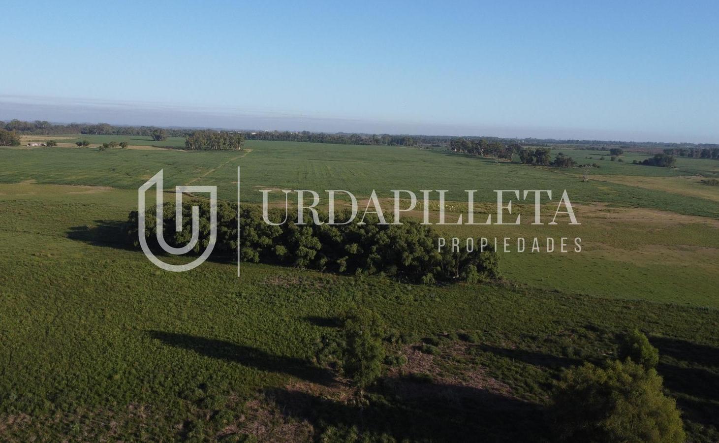 Foto de Terreno en venta Ayres de Cardales con vista al verde, imagen 4