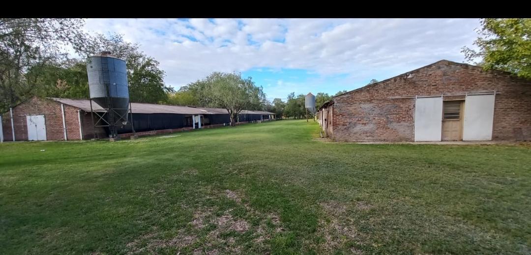 EX GRANJA AVICOLA, AHORA CHACRITA