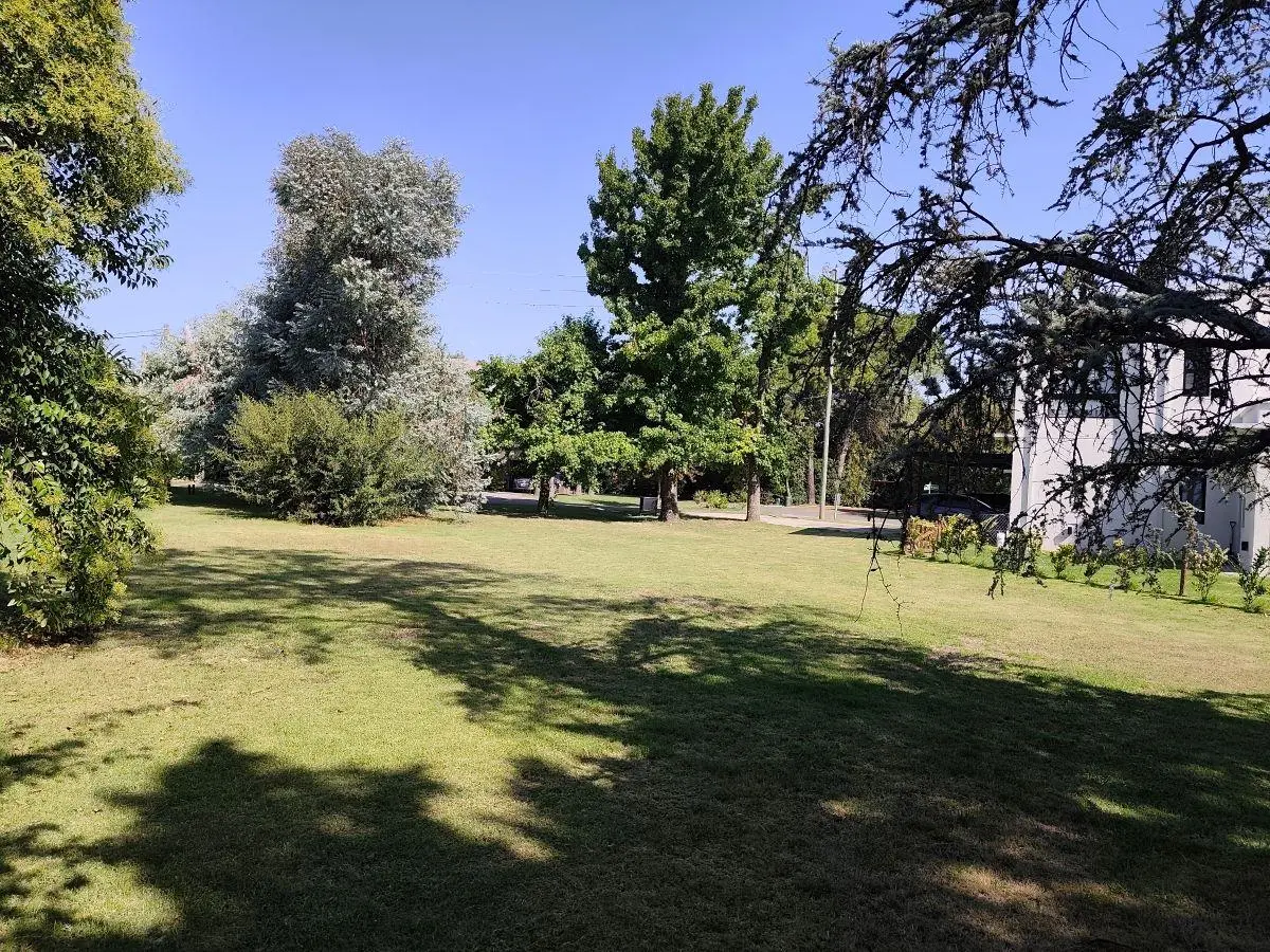 lote interno en golfer s c. c. 5