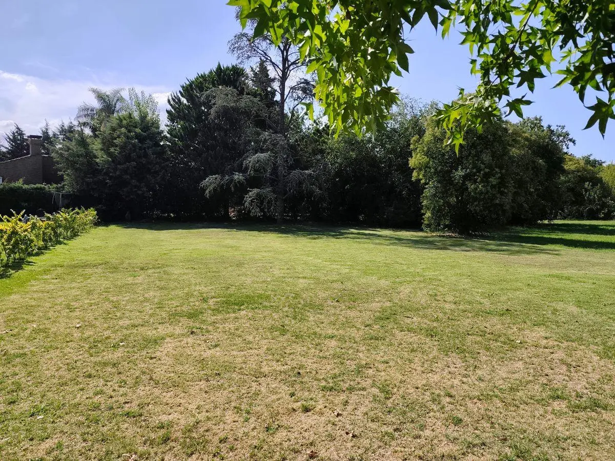 lote interno en golfer s c. c. 2
