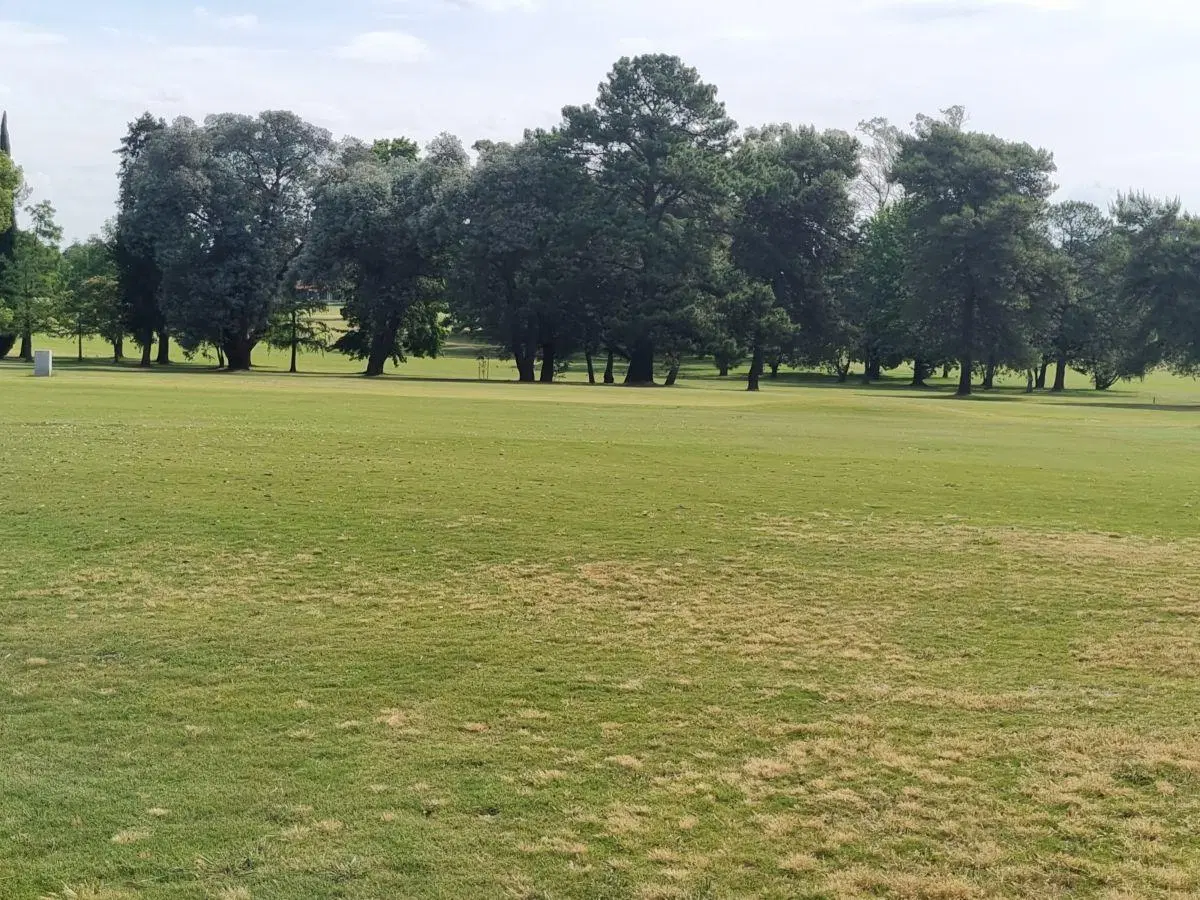 Casa de 300 m² con 5 dormitorios en venta en Golfer´s Country Club 5