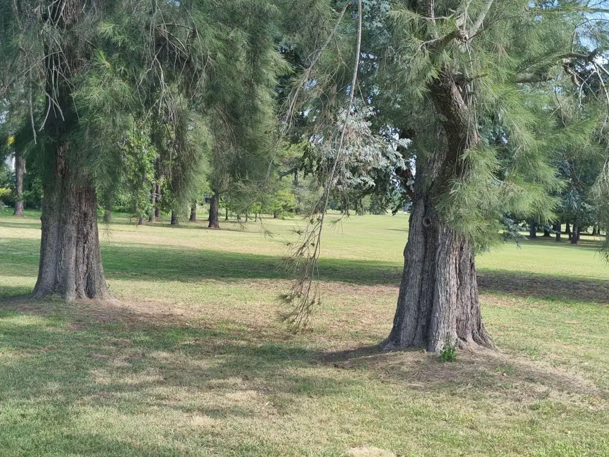 Casa de 300 m² con 5 dormitorios en venta en Golfer´s Country Club 7