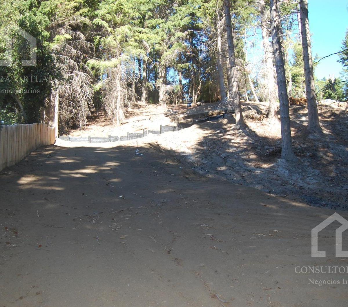 Foto de Terreno Venta en Puerto Manzano a metros del lago, imagen 5