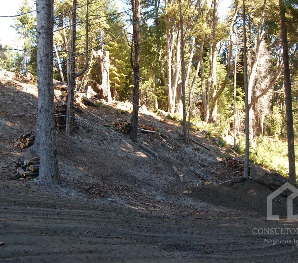 Foto de Terreno Venta en Península de Puerto Manzano, imagen 4