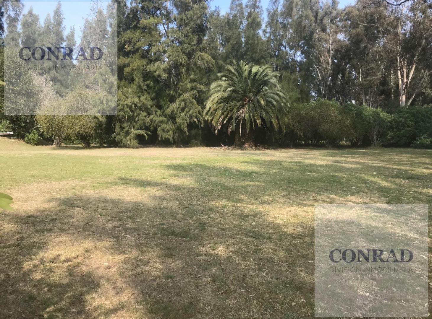 Foto de Terreno en venta en Ing. Maschwitz, imagen 3