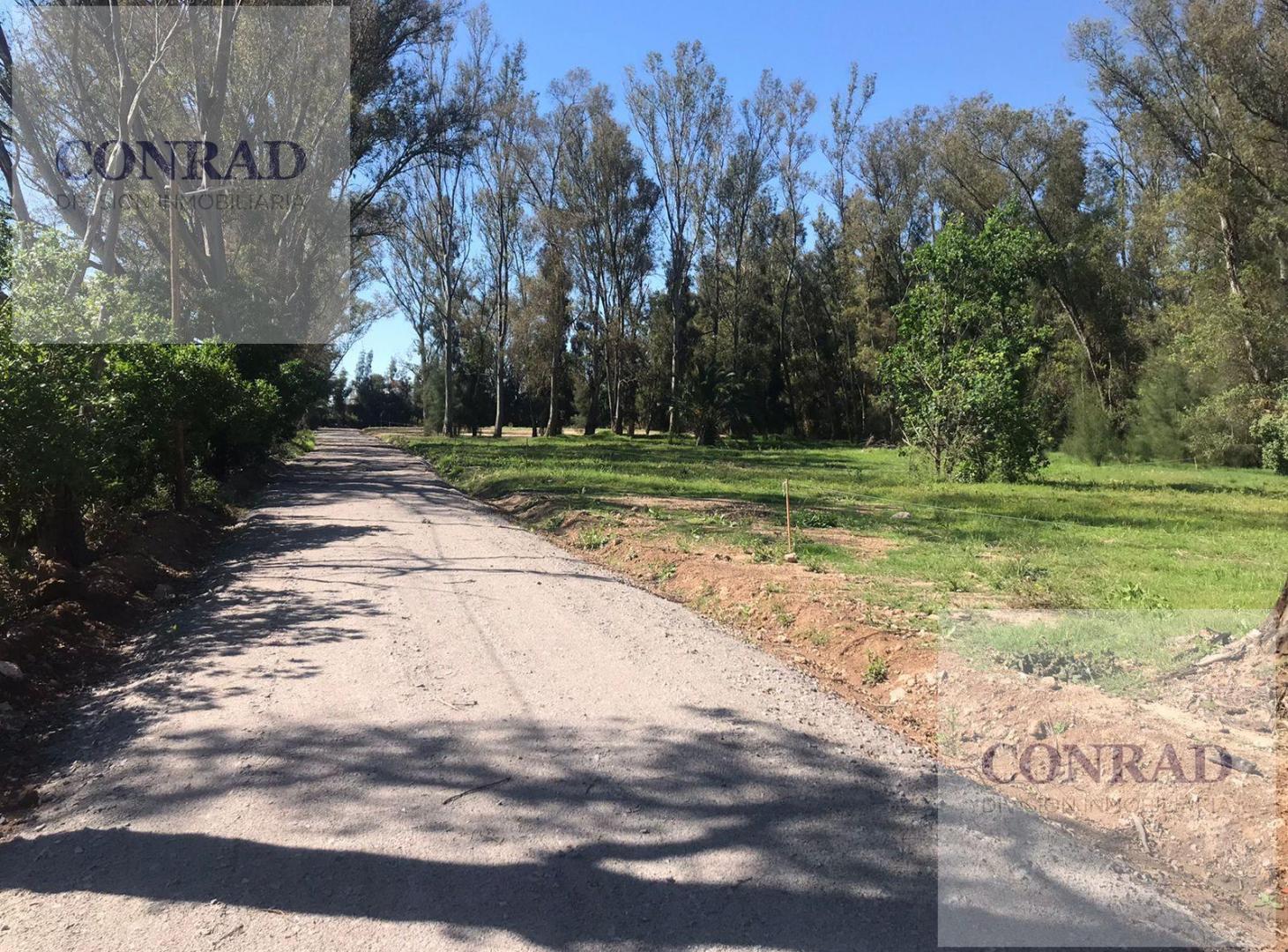 Foto de Terreno en venta en Ing. Maschwitz, imagen 4