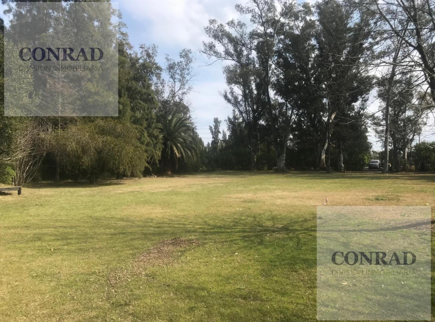 Foto de Terreno en venta en Ing. Maschwitz, imagen 5