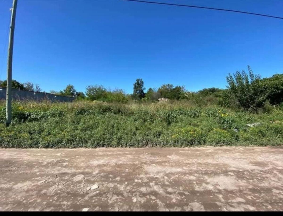 Foto de 3 Lotes en Venta en Longhamps – 1.840 m² Totales – Escritura, imagen 3