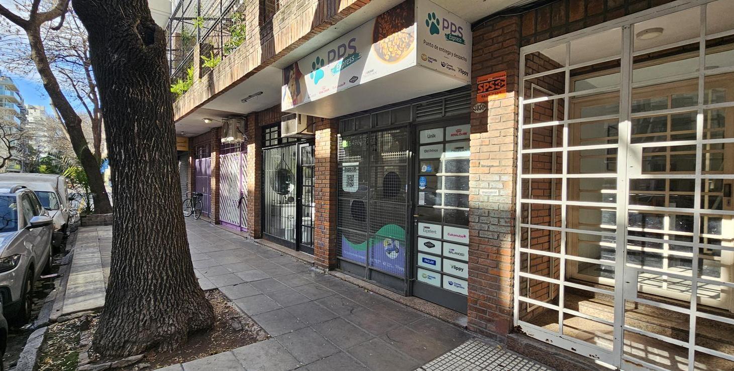 Foto de Mansilla 3900 - LOCAL, imagen 3