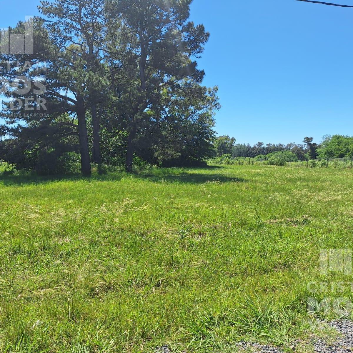 Terreno en venta - Fincas de Boote - Loma Verde