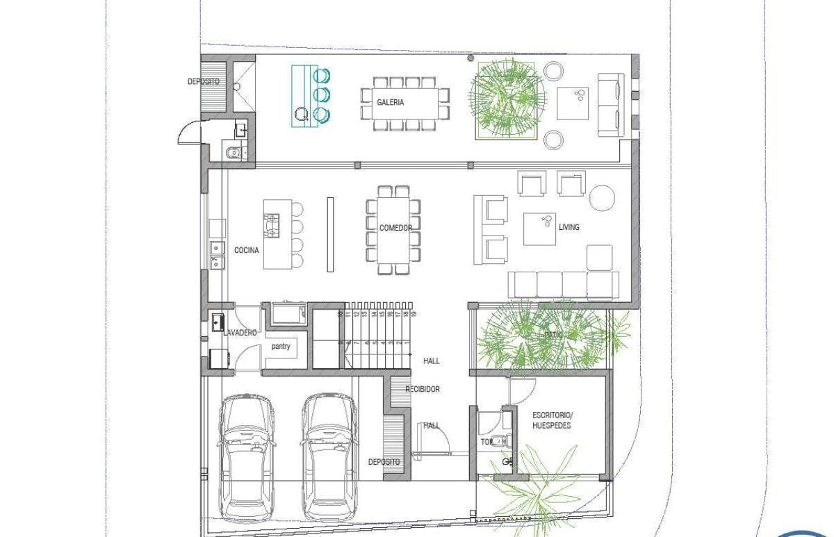 Plano 6
