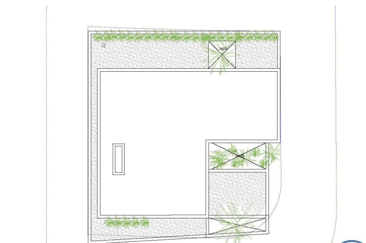 Plano 7