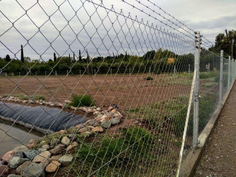 Lujan de Cuyo Mendoza 4