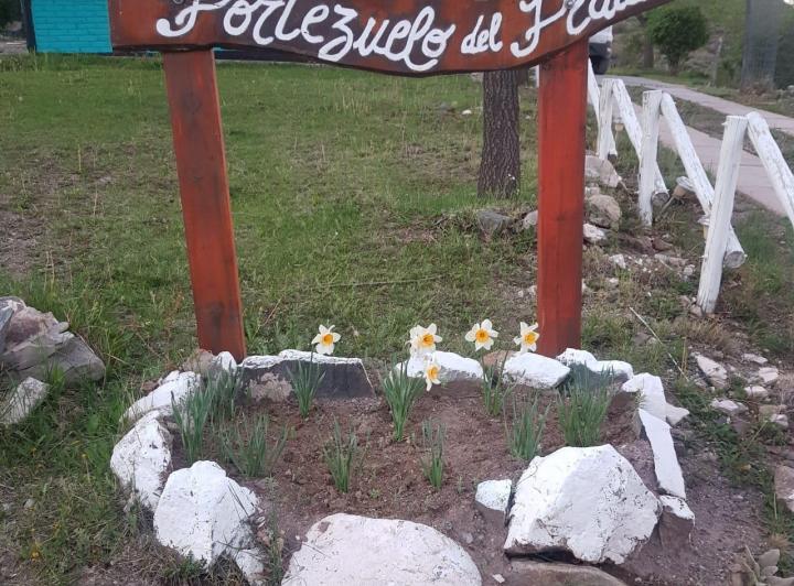 ALQUILER TURISTICO EN LOS ZORZALES