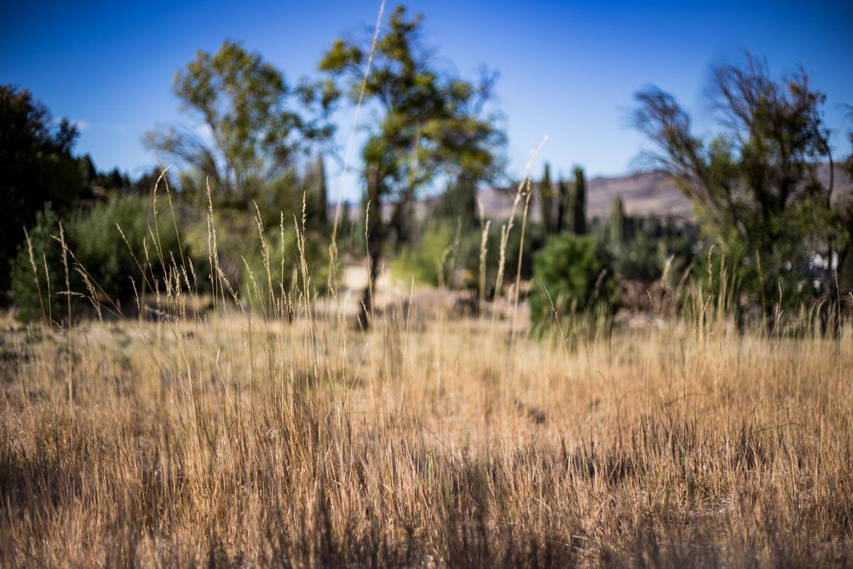 Terreno - Junin de Los Andes 4