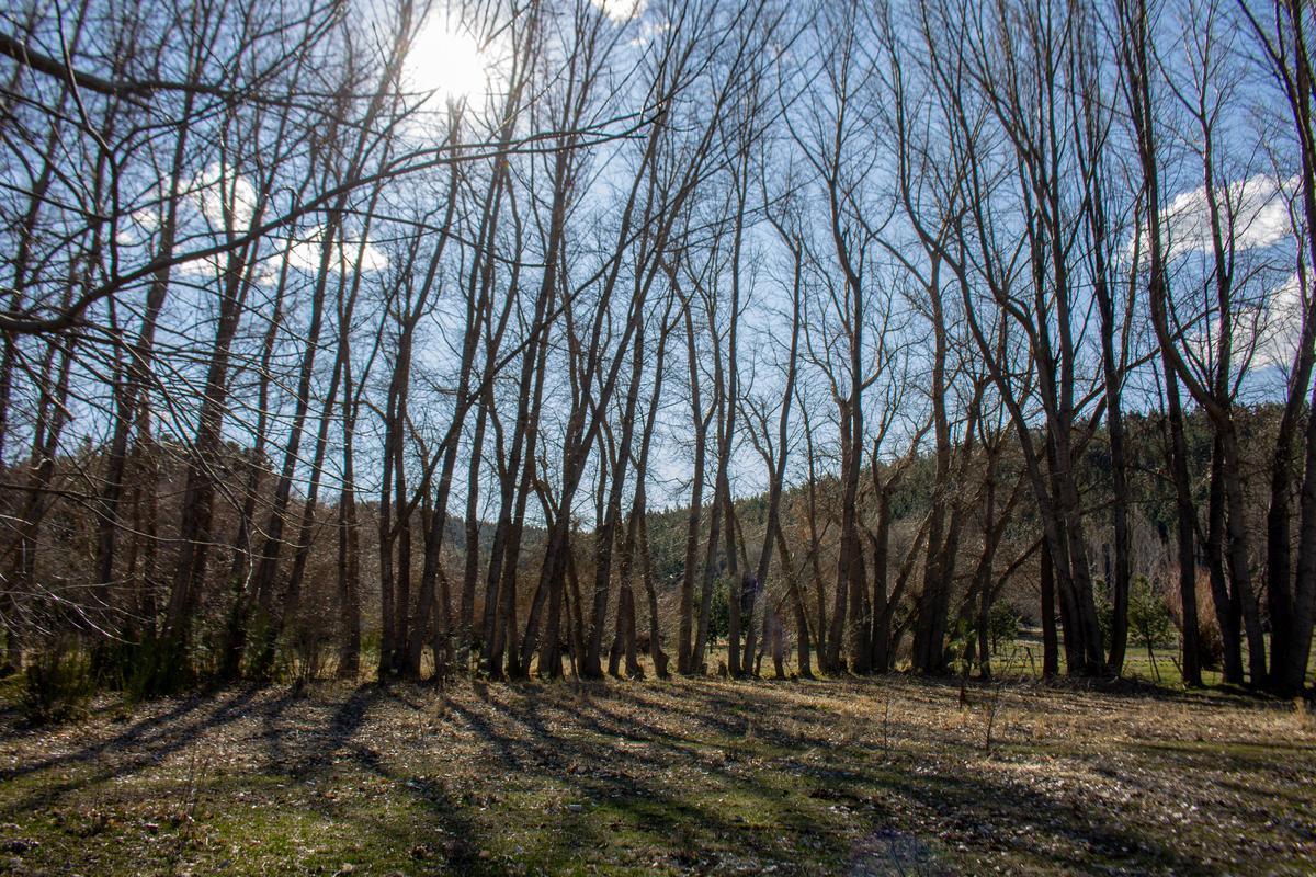 Terreno - Junin de Los Andes 3