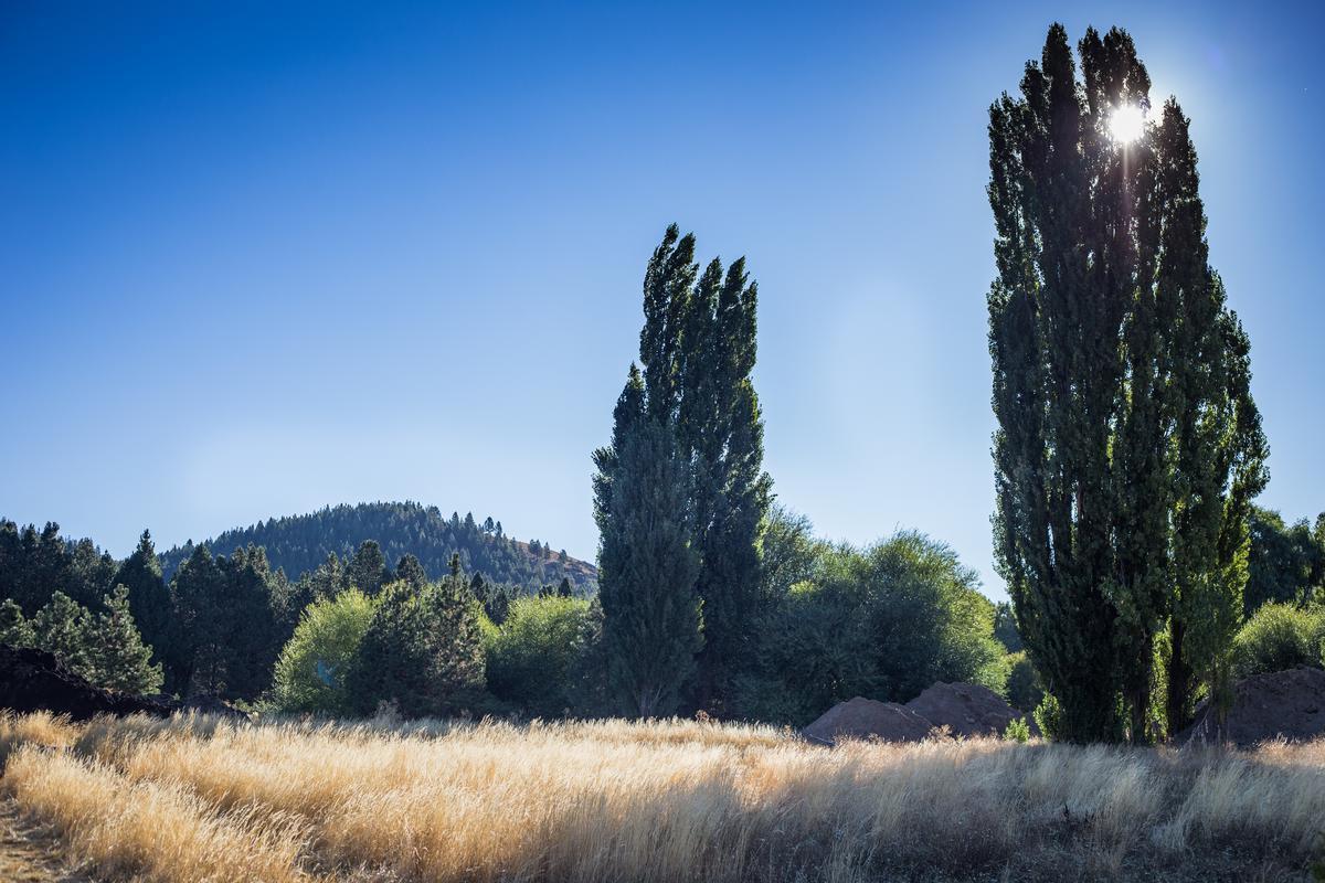 Terreno - Junin de Los Andes 5